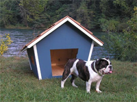 Downtown's Doghouse