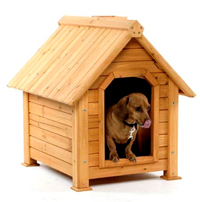 Downtown's Doghouse
