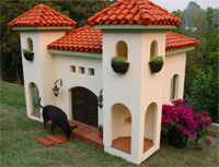Downtown's Doghouse